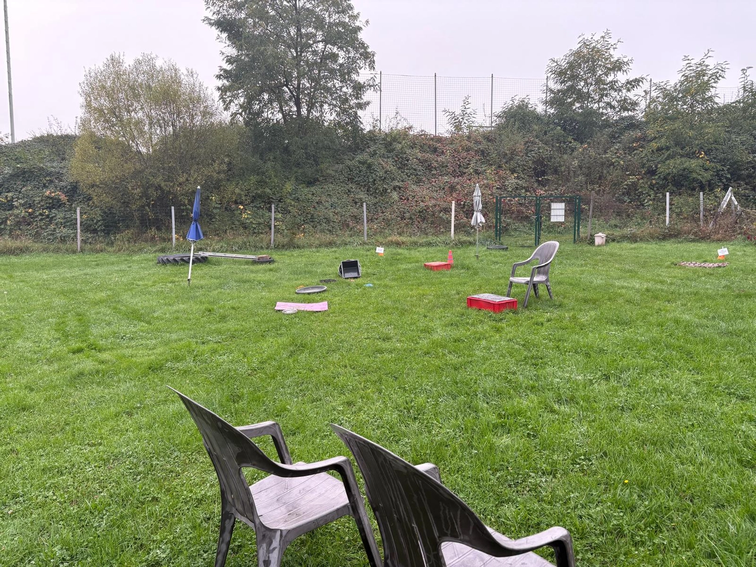 Hundetraining Hundebetreuung Hundebetreuungsdienste Hundetrainingsmethoden Hundeverhalten Hundeerziehung Hundetrainer Thomas Max Hundeschule Rheinstetten Leinenlächeln Hundeschule Leinenlächeln