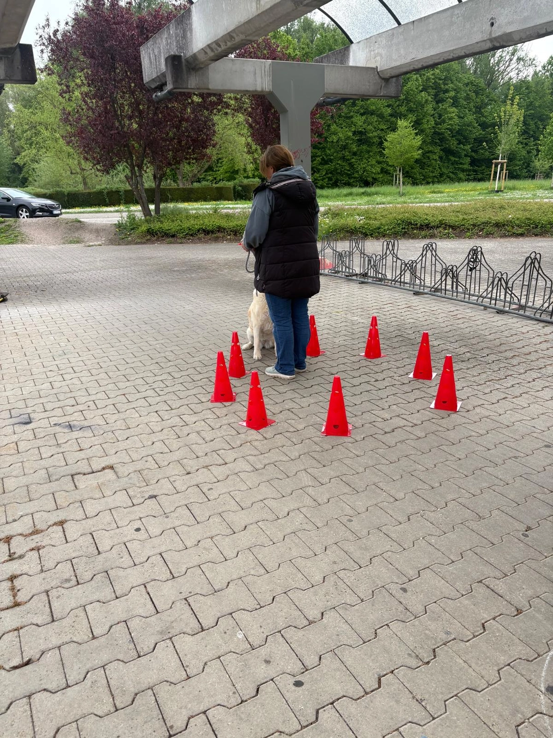 Hundetraining Hundebetreuung Hundebetreuungsdienste Hundetrainingsmethoden Hundeverhalten Hundeerziehung Hundetrainer Thomas Max Hundeschule Rheinstetten Leinenlächeln Hundeschule Leinenlächeln